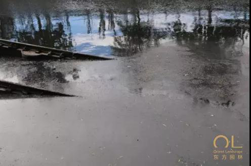 综艺比力容易看清一个明星 杨幂赵丽颖最近翻车 而且被网友吐槽:hth官网入口(图8) 华体会体育hth官方网站