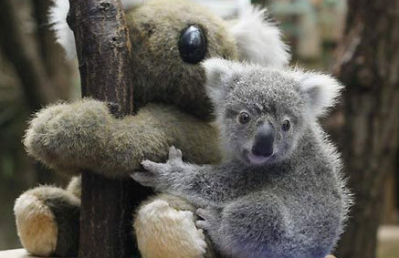 华体会体育hth官方网站