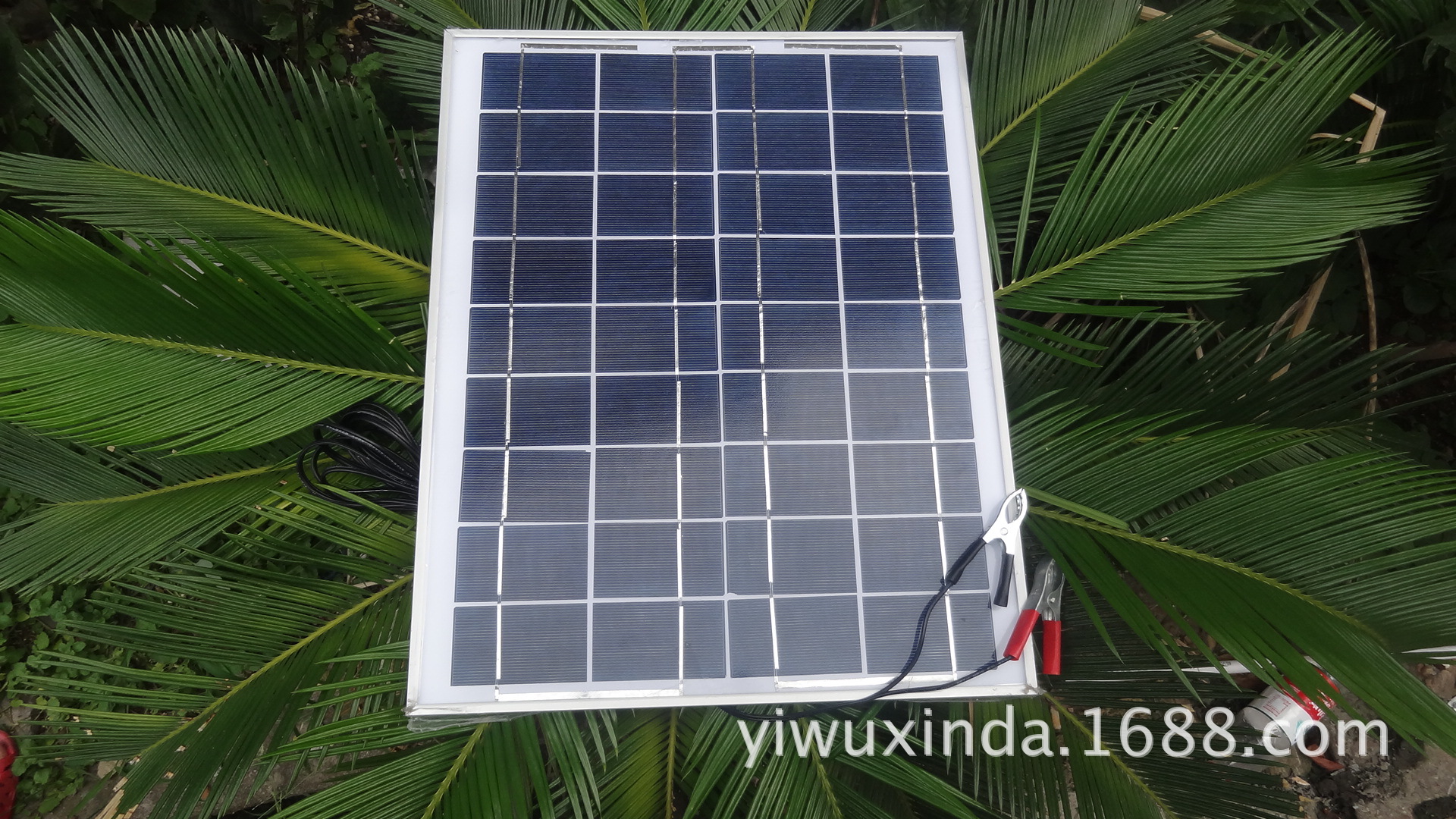 华体会体育hth官方网站