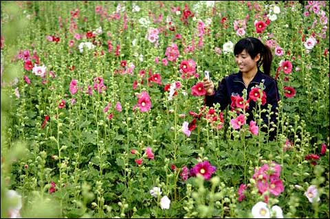 “hth官网入口”温暖的弦曝暖伤海报 张翰献唱推广曲如果没有你泪吻张钧甯(图2) 华体会体育hth官方网站