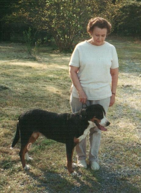 华体会体育hth官方网站:湖南省体育局号召国足球迷理性观赛:用审美精神(图3) 华体会体育hth官方网站