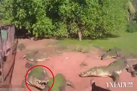 《大主宰》即将开拍 杨洋吴磊或将有望加盟-华体会体育hth官方网站(图4) hth官网入口