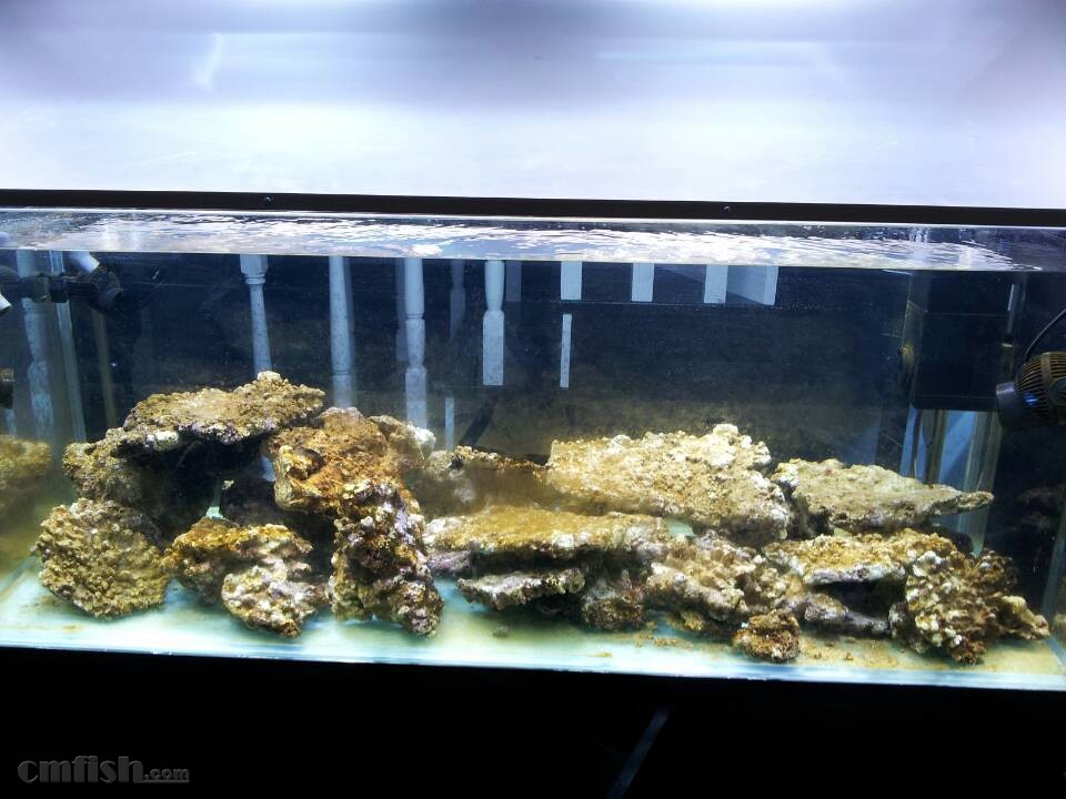 莽荒纪后王鸥引爆热度!《皇甫神医》再续传奇【华体会体育hth官方网站】(图1) hth官网入口