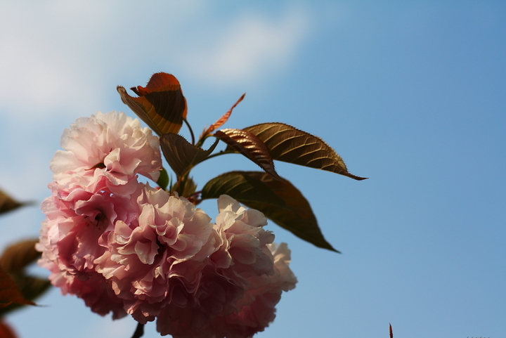 hth官网入口:素描喜剧《42: 我想和你好》成都重庆巡演在即,爆笑席卷川渝大地(图3) hth官网入口