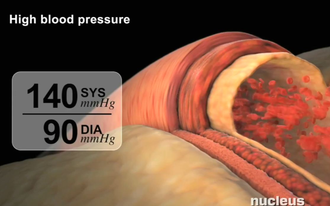 ‘hth官网入口’
只选对的不选贵的 赫踏运动用品1招教你挑选足球服(图1) 华体会体育hth官方网站