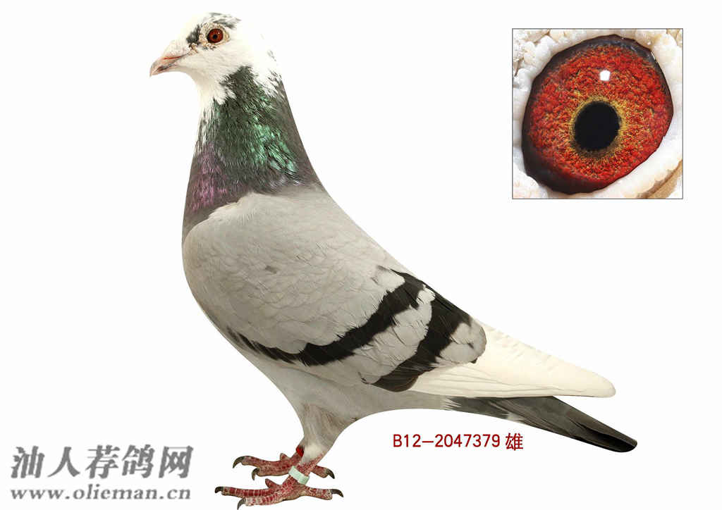 华体会体育hth官方网站