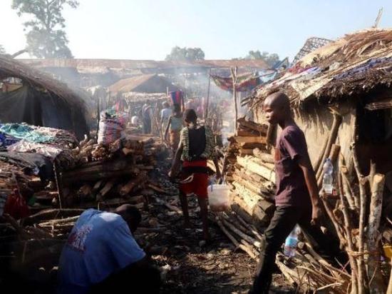 内乡县夏馆镇镇北小学:特别的爱给特别的你-华体会体育hth官方网站(图1) 华体会体育hth官方网站