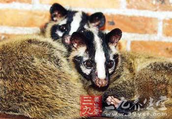 华体会体育hth官方网站