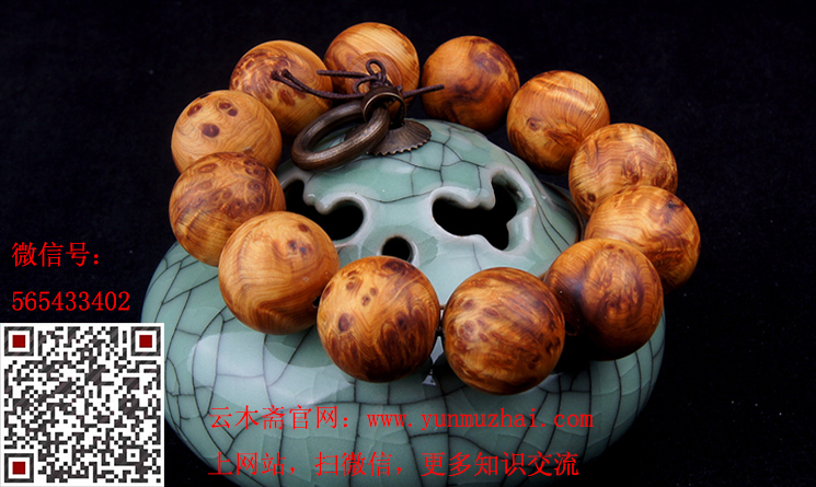 华体会体育hth官方网站