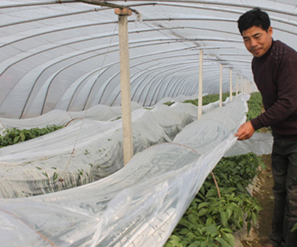 华体会体育hth官方网站