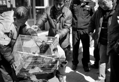 彦希许晓诺《大约是爱》好评如潮 导演感恩继续努力|hth官网入口(图2) hth官网入口