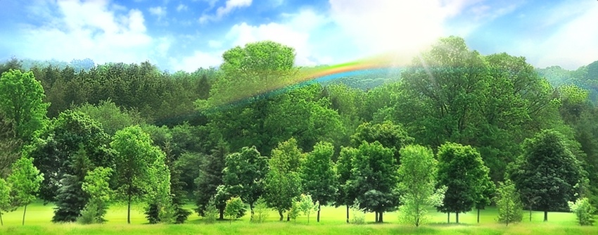 华体会体育hth官方网站