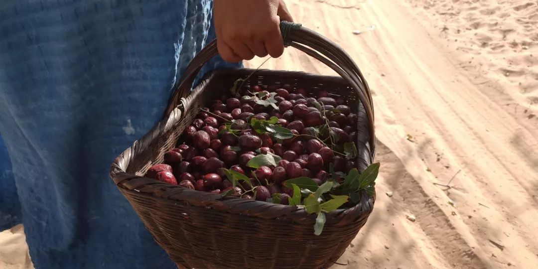 华体会体育hth官方网站