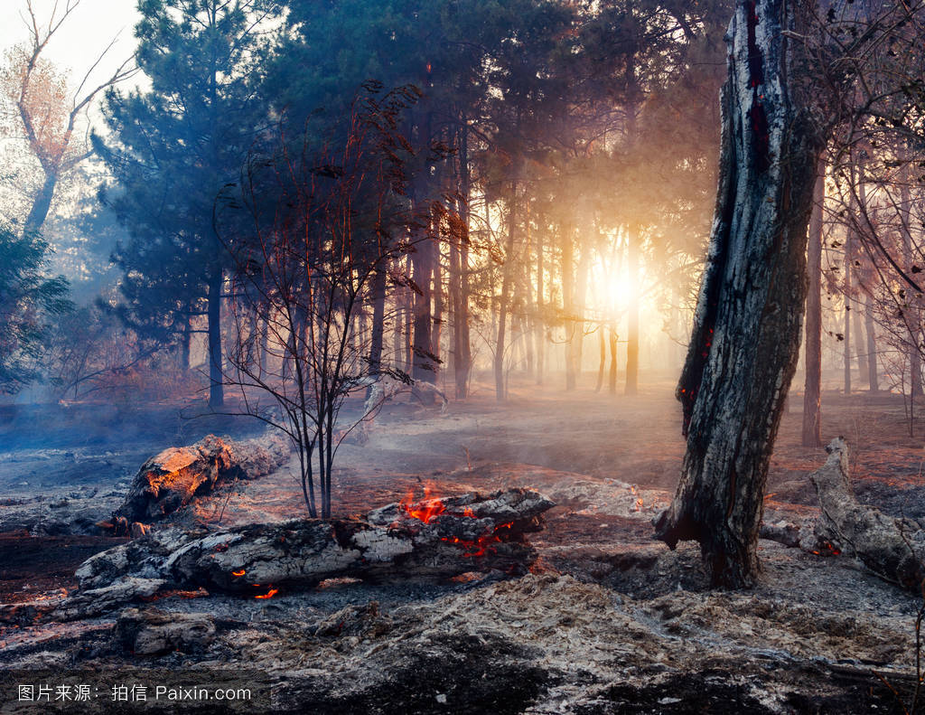 华体会体育hth官方网站