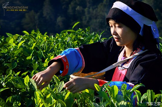 华体会体育hth官方网站