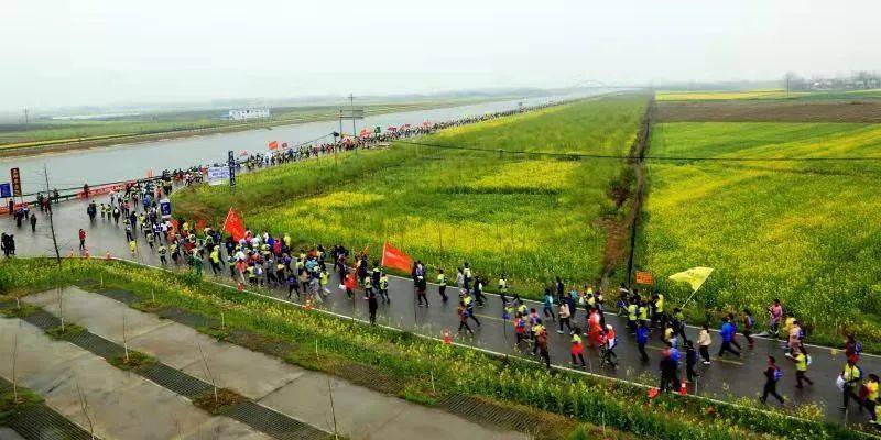 
喜报！金牌洋马！实至名归！荣获2019中国田协金牌赛事：华体会体育hth官方网站(图10)