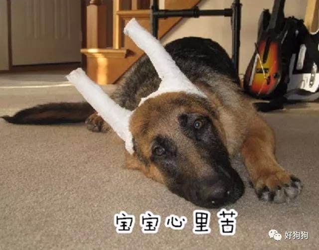 华体会体育hth官方网站