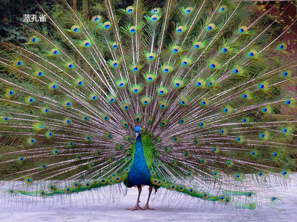 华体会体育hth官方网站